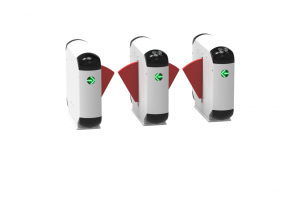 3臺(tái)幼兒園熊貓擺閘